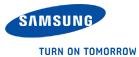 Samsung Electronics Incentive Tour